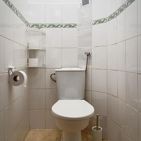 Luxury Lion Praga