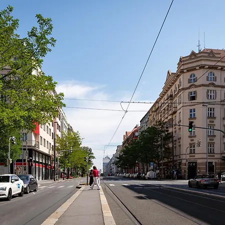 Luxury Lion Praga